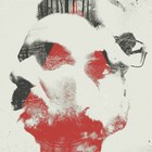 This Penguin Can Fly