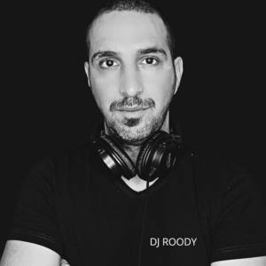 no goodbyes dj roody