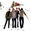 King Washington Concert Tickets - 2026 Tour Dates
