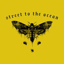 Street to the Ocean live.