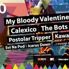 Terraneo festival 2013