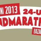 Bazart bandmarathon 2013