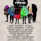 All My Friends Music Festival 2013