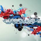 Synergy Live Festival 2013