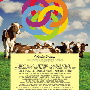 Electric Picnic 2010