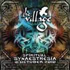 The Village Festival 2010