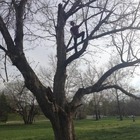 brignacios’s profile image