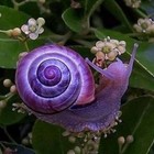 margaretanntorsu’s profile image