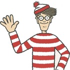 muydelpalo’s profile image