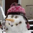 Mjuh’s profile image