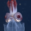 Circleswimmer’s profile image