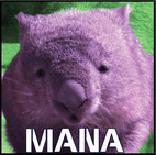 conceitedwombat’s profile image