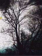 SebaMO’s profile image