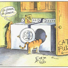 cat_fud’s profile image