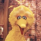mattcpierce’s profile image