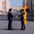 Zeaver’s profile image