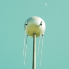 Levante’s profile image