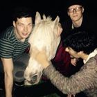 rory-hewson’s profile image