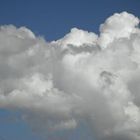 jean-francois-poulio’s profile image