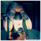 pollotherapper’s profile image