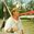 patrick-mcrae’s profile image