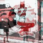 luca-maini’s profile image