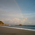 pandachicken’s profile image