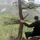 cameron-koch’s profile image