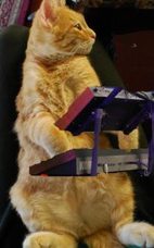 tom-weismantel’s profile image