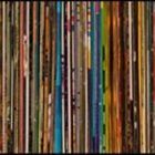 kacper-szewczyk’s profile image