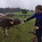 andrew-stevenson-1’s profile image