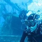 ekaitz-garmendia’s profile image