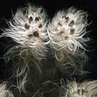 heather-lynn-5’s profile image