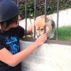 xPupsX’s profile image