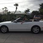 peter-brautigam’s profile image