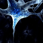 mattia81’s profile image