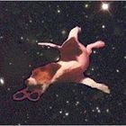 Avatar of user who RSVP'd to this event