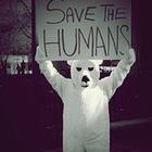 gaston-notsag’s profile image