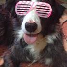 michael-raines’s profile image