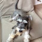 narumi’s profile image