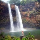 rachel-stotts’s profile image