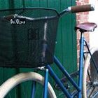 ariane-olms’s profile image