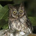 martijn-hoekstra’s profile image