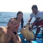 roman-rodriguez’s profile image