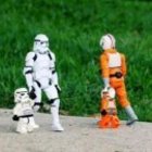 lloyd-louis-benezra’s profile image