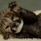 DaisyScooter’s profile image