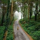 risto-mononen’s profile image