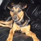 neville-wynn’s profile image