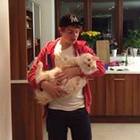 dan-shaw’s profile image