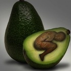 cdpacheco’s profile image